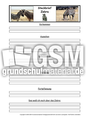 Zebra-Steckbriefvorlage.pdf